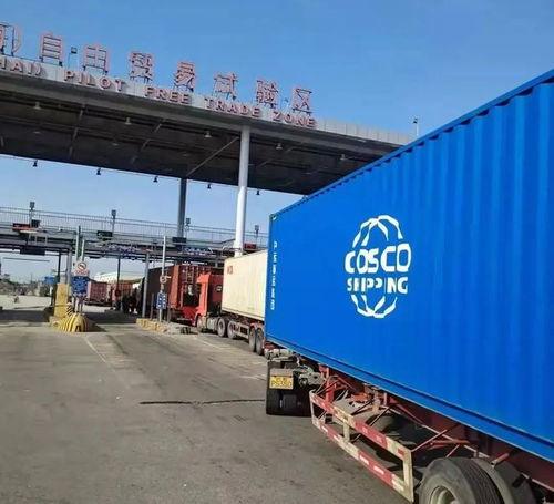 外高橋(qiao)保(bao)稅區 承接全國(guo)近七成進口血透(tou)產品(pin)，物(wu)流(liu)企業構築(zhu)生命(ming)通(tong)道